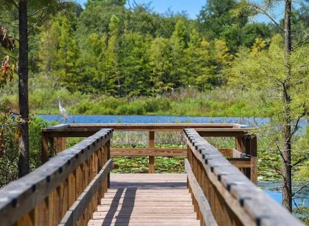 Orchid Lake RV Resort