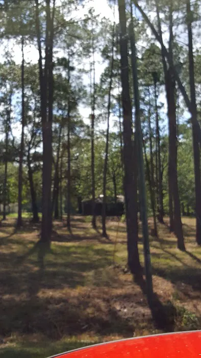 Tattnall Campground Picture 6