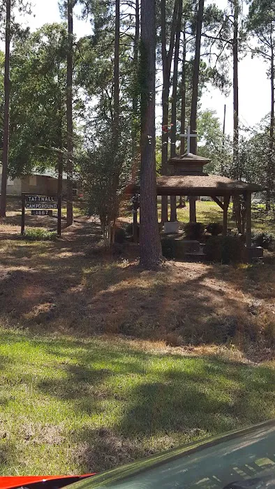 Tattnall Campground Picture 7