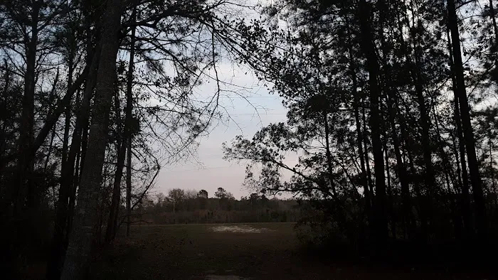 Tattnall Campground Picture 2