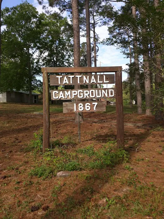 Tattnall Campground Picture 9