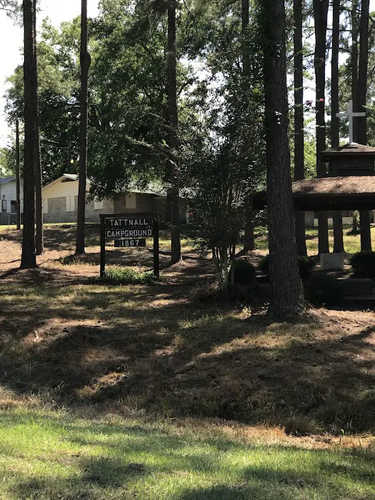 Tattnall Campground Picture 10