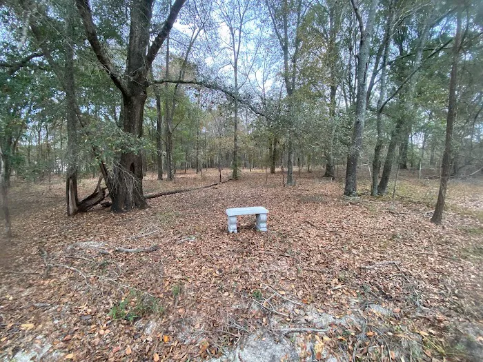 Hidden Forest RV Club Picture 8