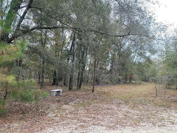 Hidden Forest RV Club Picture 1
