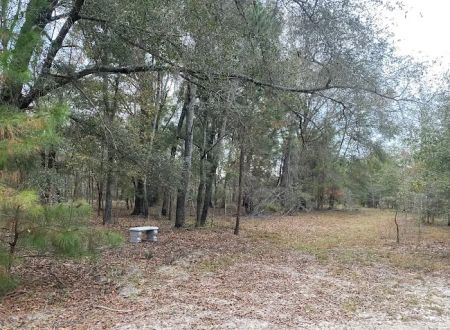 Hidden Forest RV Club