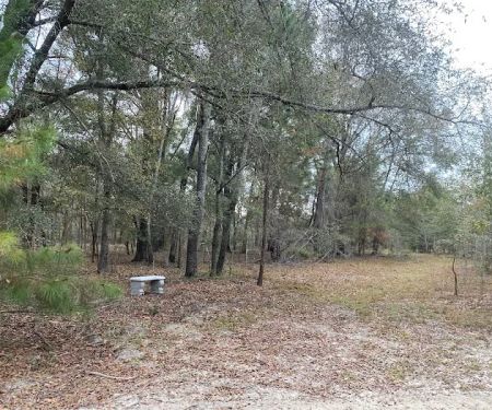 Hidden Forest RV Club