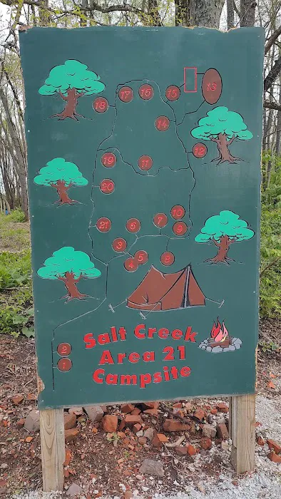 Salt Creek Area 21 Campsite Picture 5