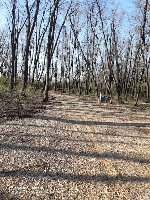 Salt Creek Area 21 Campsite Picture 2