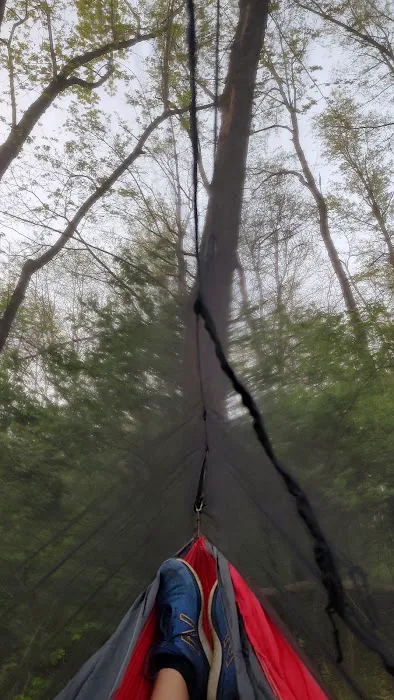 Salt Creek Area 21 Campsite Picture 7