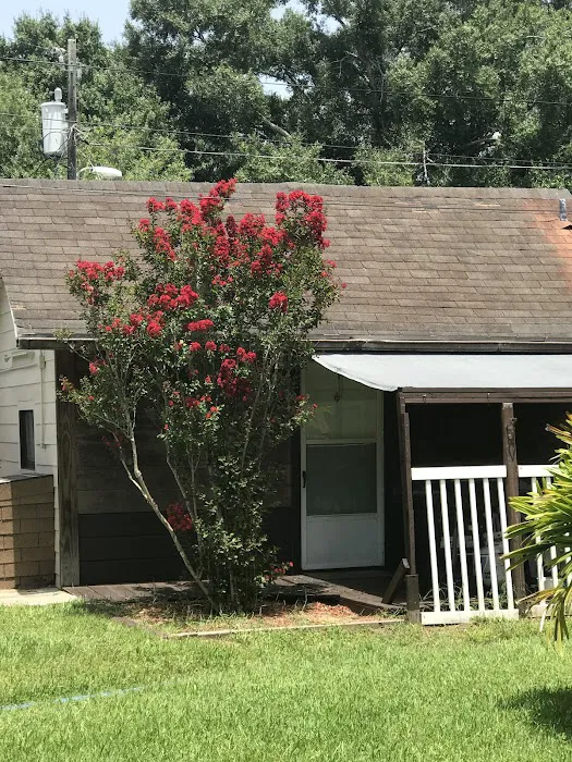 Tropicana Trailer Park Picture 8