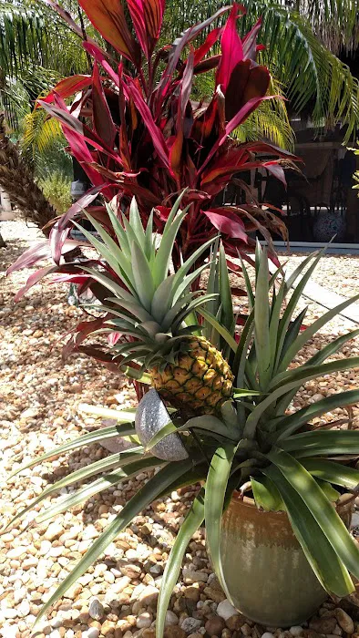 Paradise Pines Picture 2