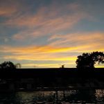 Paradise Pines