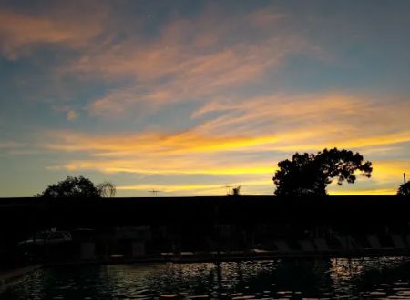 Paradise Pines