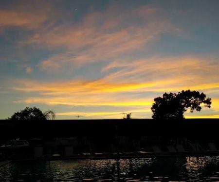 Paradise Pines