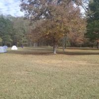 Camp light ico