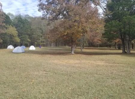 Camp light
