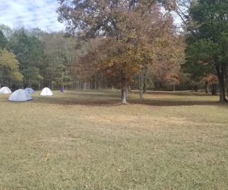 Camp light