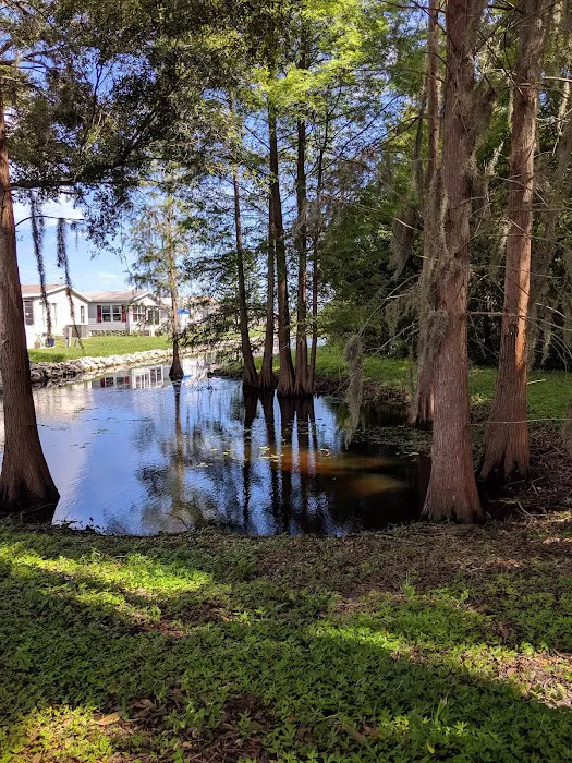Country Place Picture 2