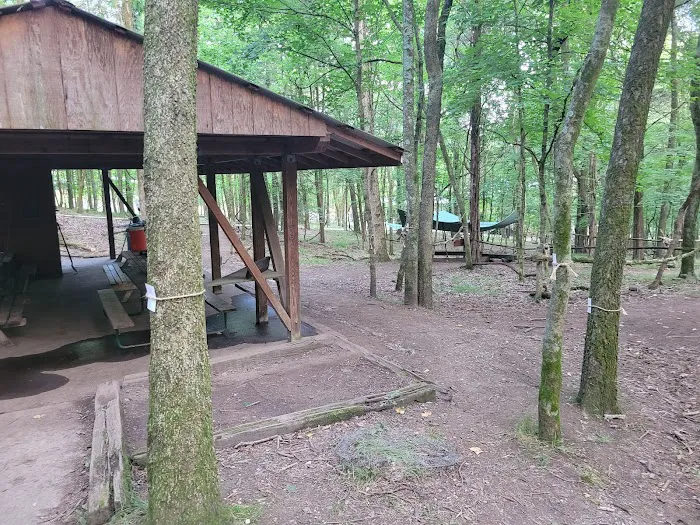 Craig Conservation Yard Picture 6