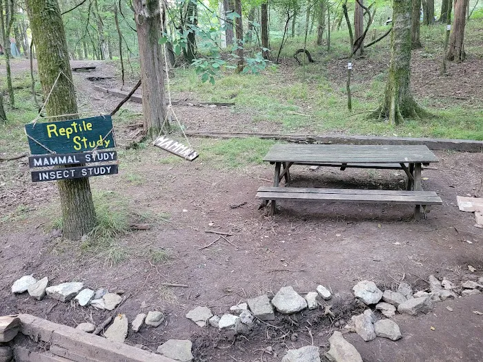 Craig Conservation Yard Picture 4