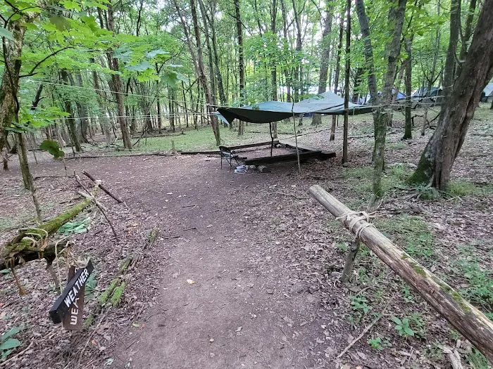 Craig Conservation Yard Picture 10