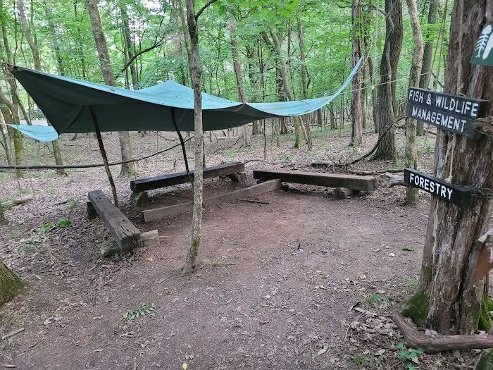 Craig Conservation Yard Picture 7