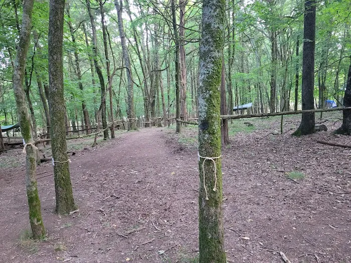 Craig Conservation Yard Picture 2