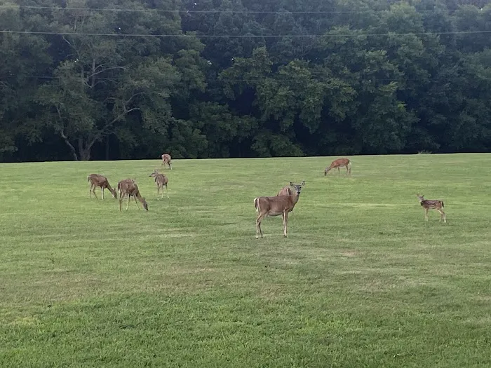 Boxwell Reservation Picture 2