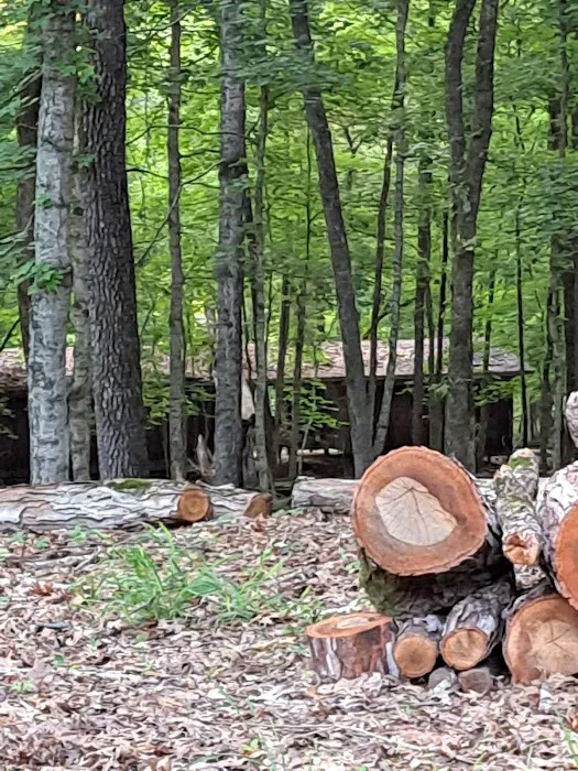 Boxwell Reservation Picture 10