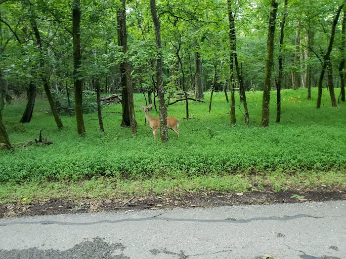 Boxwell Reservation Picture 5