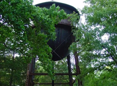 Boxwell Reservation