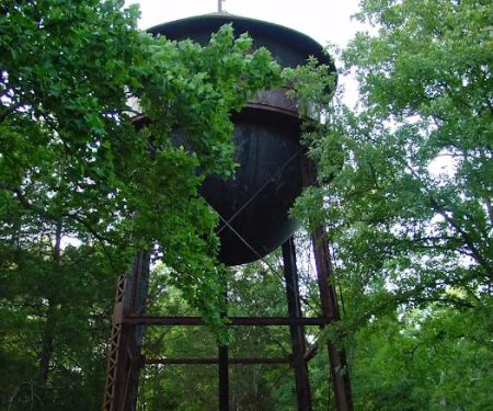 Boxwell Reservation