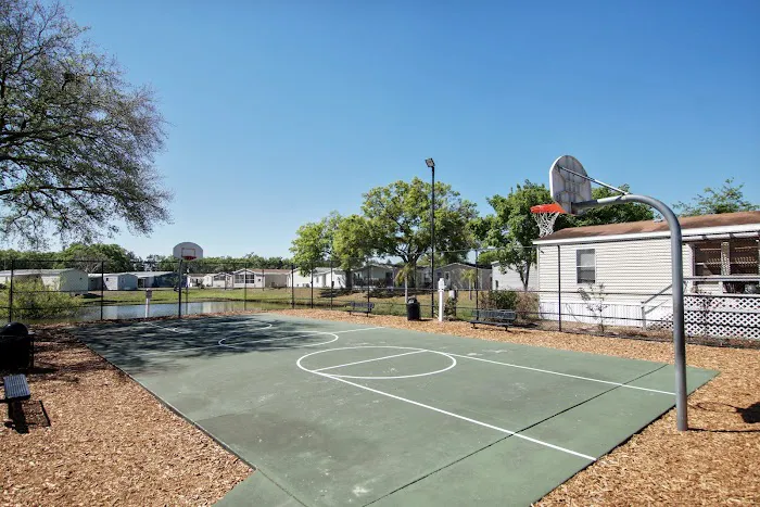 Village of Tampa Mobile Home Community Picture 3