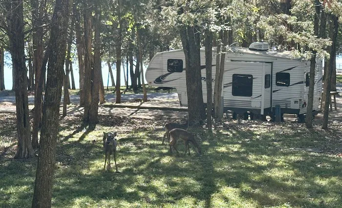 Seven Points Campground Picture 2
