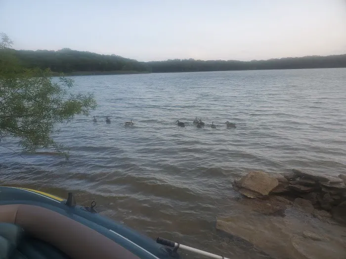 Anderson Road Campground Picture 4