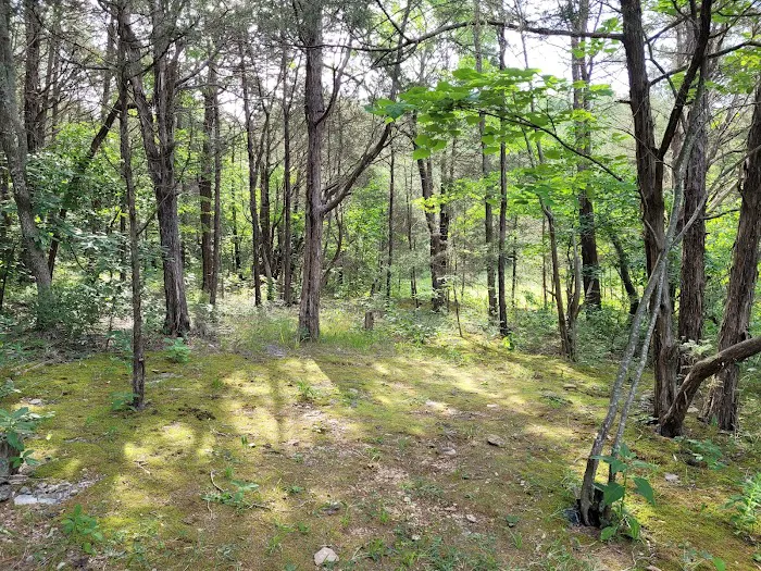 Anderson Road Campground Picture 8
