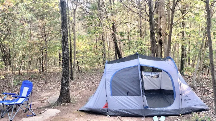 Anderson Road Campground Picture 10
