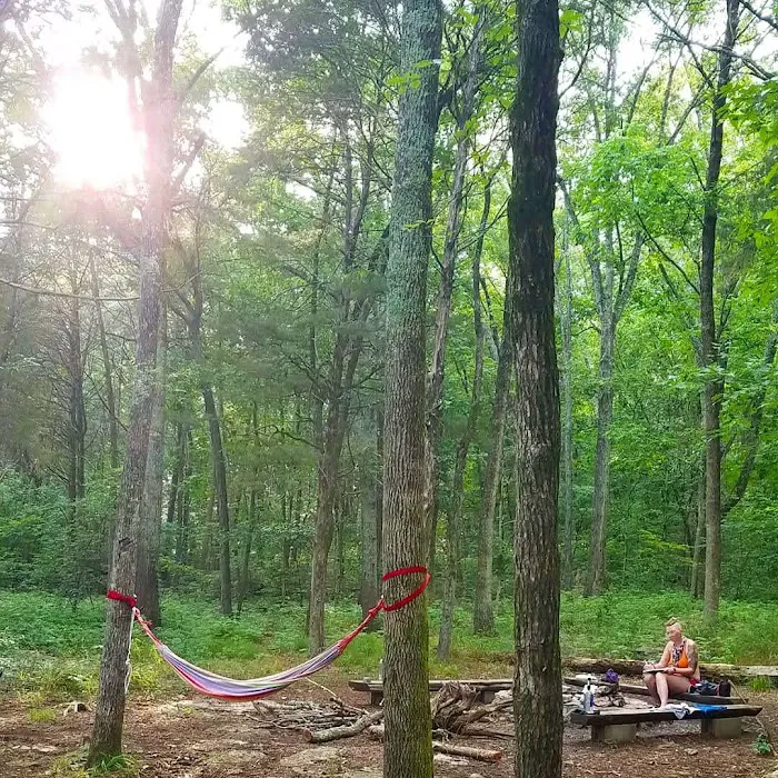 Campsite 2 Picture 6