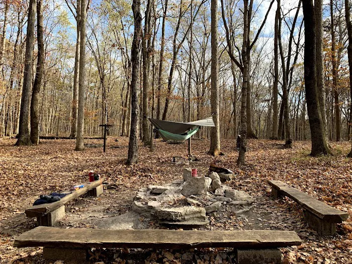 Campsite 2 Picture 7