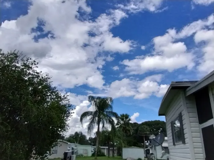 Palm Tree Acres Mobile Home Community Picture 7