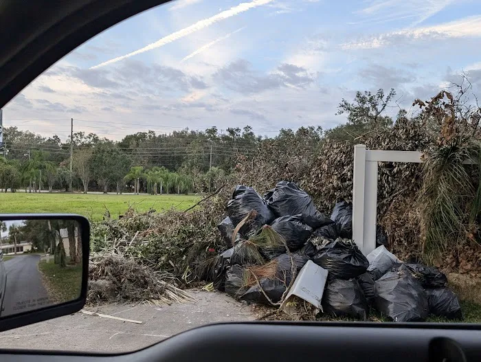 Palm Tree Acres Mobile Home Community Picture 8