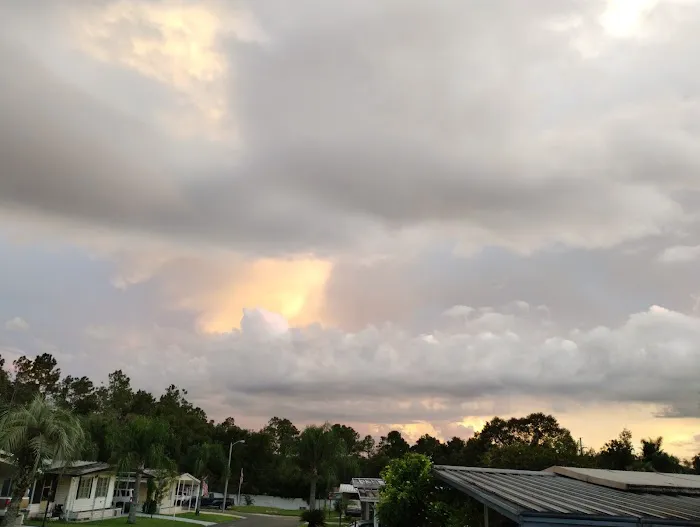 Palm Tree Acres Mobile Home Community Picture 5