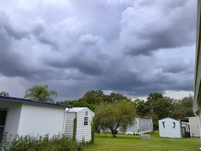 Palm Tree Acres Mobile Home Community Picture 3