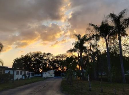 Palm Tree Acres Mobile Home Community