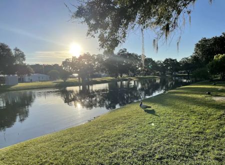 Betmar Acres