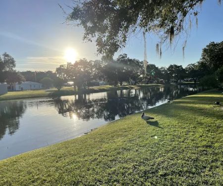 Betmar Acres