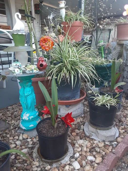 Andy's Travel Trailer Park Picture 1