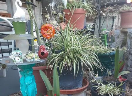 Andy's Travel Trailer Park