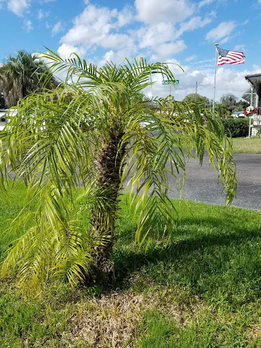 Tropical Mobile Home Park Picture 8