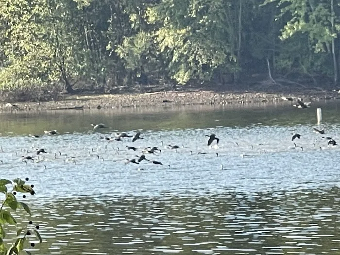 Hurricane Creek Recreation Picture 10